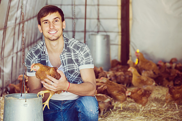 Fearing Bird Flu, North Dakota Orders Poultry Lockdown (UPDATE)