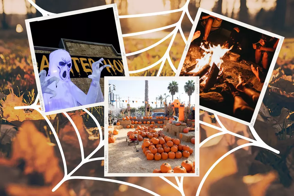 11 Exciting Fall Activities to Enjoy in North Dakota